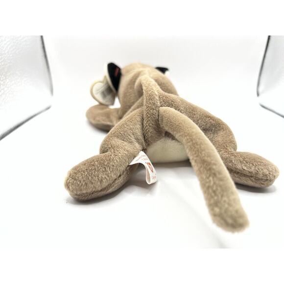 TY Beanie Baby Babies Stuffed Animal Plush Canyon 1998 - Picture 5 of 9